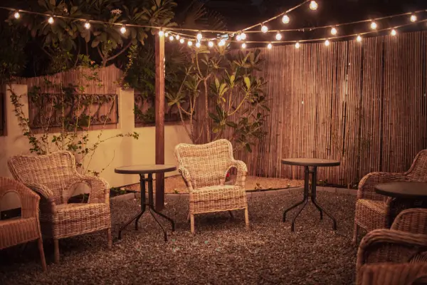 Como transformar seu quintal em um observatório urbano